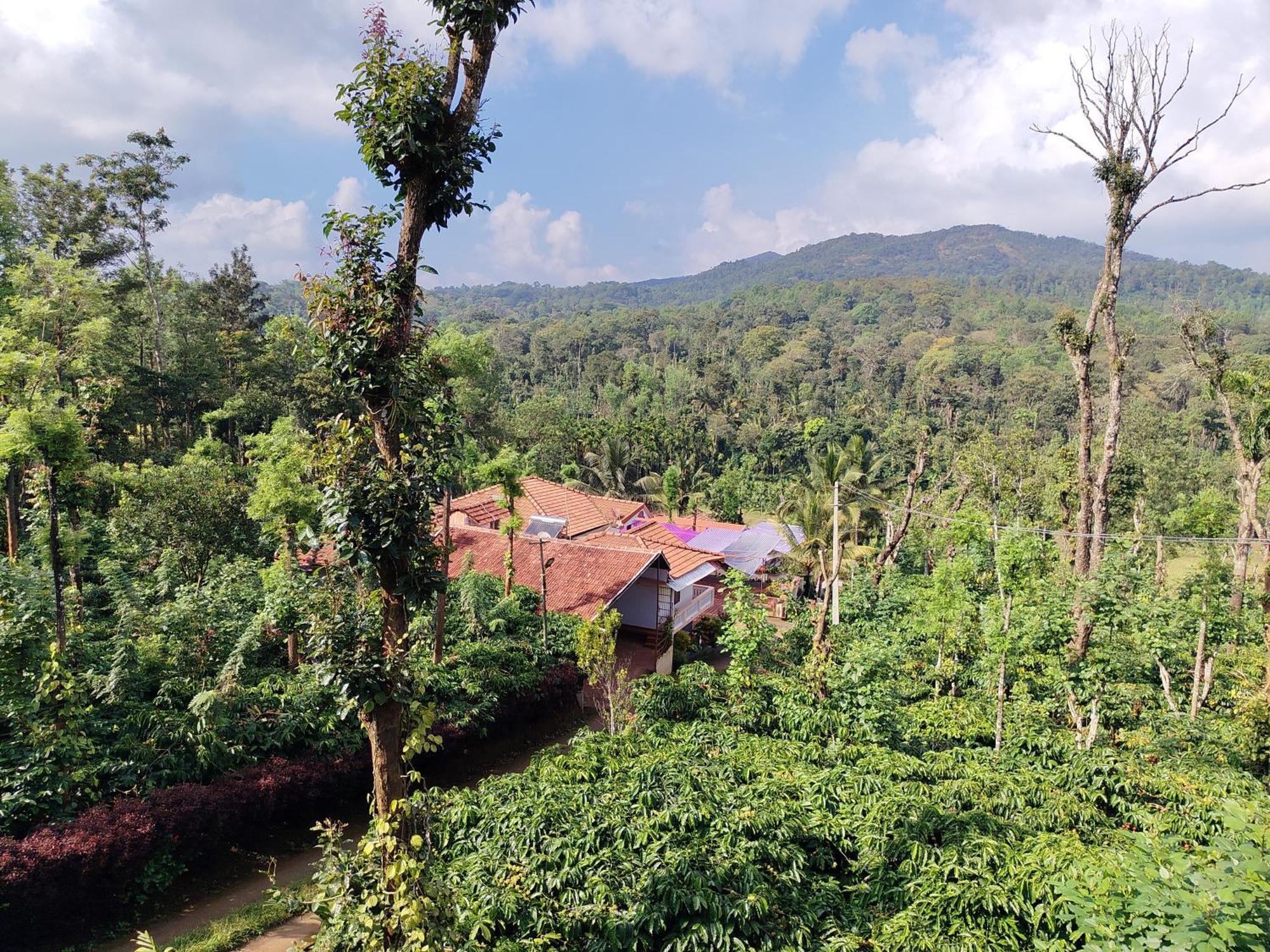 Shivalaya Homestay, Madikeri Siddapur Exterior foto