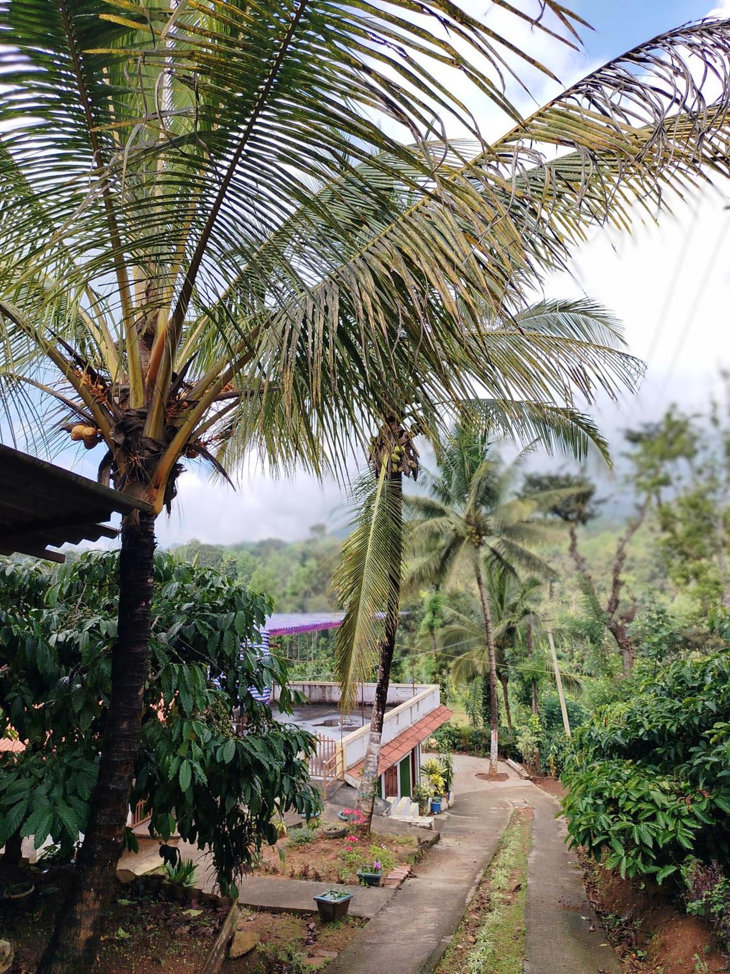 Shivalaya Homestay, Madikeri Siddapur Exterior foto